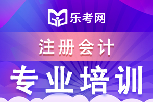 2020年注会审计知识点：信息技术对审计过程的影响