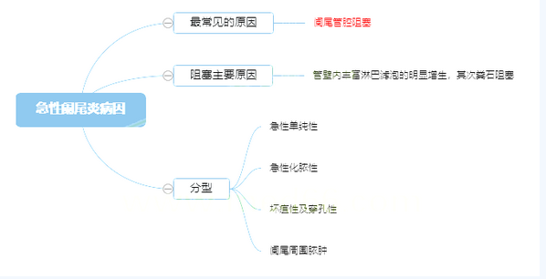 2022年护考备考知识点：急性阑尾炎病因